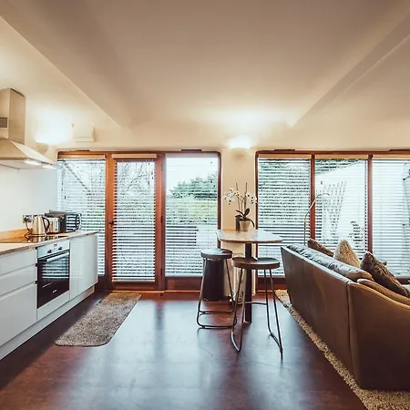 The Little Fish * コッカーマス